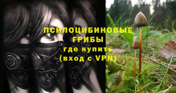 мдма Осташков