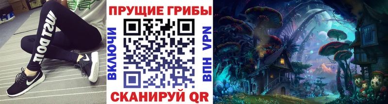 ОМГ ОМГ вход  что такое   Таштагол  мориарти состав  Псилоцибиновые грибы мухоморы 